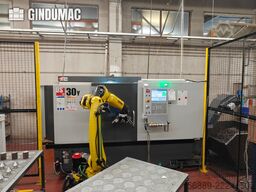 HAAS DS30Y
