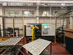 HAAS DS30Y