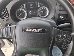 DAF LF 320 FA - E6