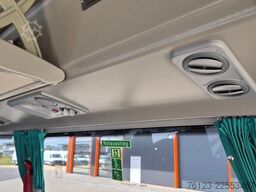 TEMSA 5 units Prestij SX,Novo Lux, Daily, Atego