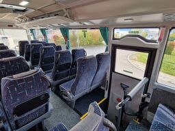 TEMSA 5 units Prestij SX,Novo Lux, Daily, Atego