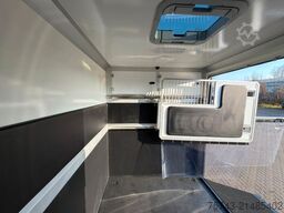 MERCEDES-BENZ STX Sprinter  3.500KG  Haras Hengste