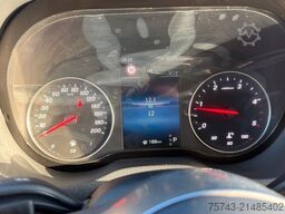 MERCEDES-BENZ STX Sprinter  3.500KG  Haras Hengste