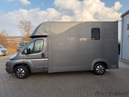 PEUGEOT Boxer 1-2 Pferdetransporter