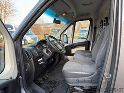 PEUGEOT Boxer 1-2 Pferdetransporter