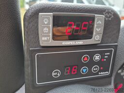 MERCEDES-BENZ 319 StockSprinter VIP Shuttle 9 SS  Panoramadach