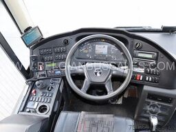 Temsa Safari HD 13 / 13.1m / Euro 6 / Full Option
