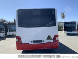 MAN A 37 Lions City / O 530 Citaro