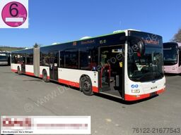 MAN A 23 Lions City G / O 530 G Citaro