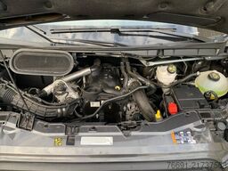 Ford Transit 350 Telonato - Km 10.300