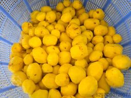 KAMI GmbH KAMI GmbH KAMI GmbH