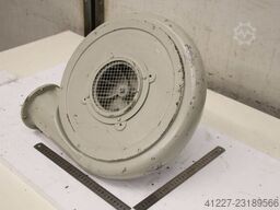Dietz DG 71 b 1286