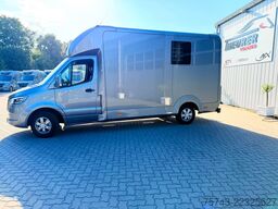 MERCEDES-BENZ STX Sprinter  GG 4,100KG  Haras Hengste