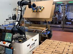 FJ Mayer HYDRA cobot palletizer
