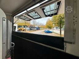 Steinsberger Anka 3-Pferdeanhänger