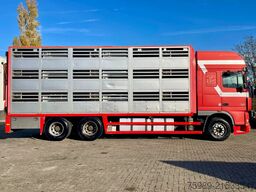 DAF XF 95.430 BERDEX  3 decks.  Water, fans, Scales...