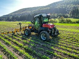 Sauerburger Hangschlepper (alle Modelle)