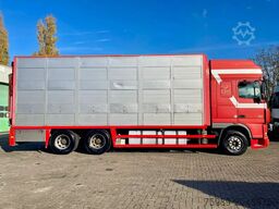 DAF XF 95.430 BERDEX 3 decks. Water, fans, Scales! ...