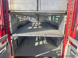 DAF XF 95.430 BERDEX 3 decks. Water, fans, Scales! ...