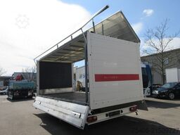 obermaier OS2-L119L Schwenkwand beidseitig