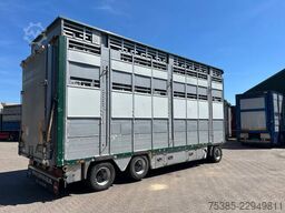 Pezzaioli RBA31G Livestock 1/2/3