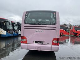 MAN R 12 Lions Regio