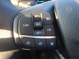 FORD Transit 350L3 EinzelKab Kipper Winterd. Schild