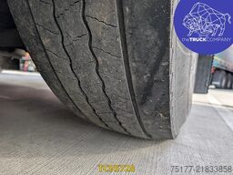 Scania P 450
