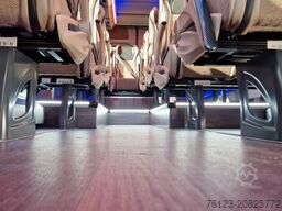 MERCEDES-BENZ 519 und 517 Glasdach XXL 20 Sitze Stock