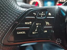 MERCEDES-BENZ 9 Sitzer Sprinter III Tourer RWD 311 Sonderpreis