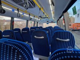 IVECO Daily C 70 City Niederflur 34 PAX auch als CNG