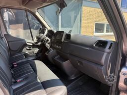 Renault Master STX S3 Paardenwagen Automaat Hengsten ui...