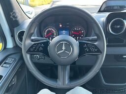 Mercedes-Benz Sprinter 317 CDI 9G 3665 Klima 360Kamera Schwing