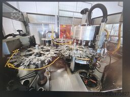 Locostréa Locostréa Locostréa