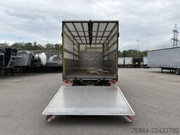 RENAULT D16 PLANE, LBW, E6,