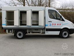 MERCEDES-BENZ Sprinter 310 Cold Car 3+3 Türen -33°C