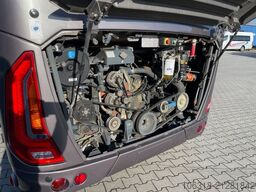 TEMSA MD 9  /  Midibus  /  9,5 m