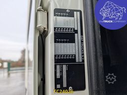 DAF XF 480
