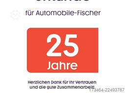 VW T6 Transporter Kasten*Sortimo*SHZ*