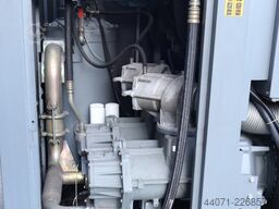 Atlas Copco GA250