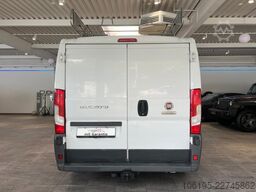 FIAT Ducato L1-H1*Regal/Dachträger*Garantie*1.HAND