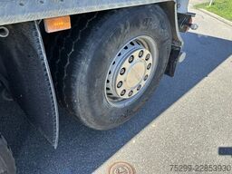 Scania P 500 10x4 3-SK Trösch / Swiss-Vehicle