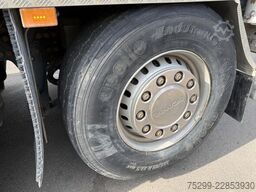 Scania P 500 10x4 3-SK Trösch / Swiss-Vehicle