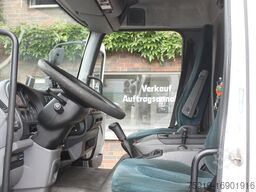 DAF Transporter mit Seilwinde & 7t Nutzlast