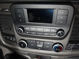 FORD Transit Kasten 290L2H2 Trend DHL POST AUSFÜHRUNG