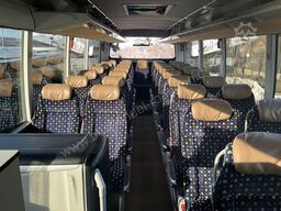 Setra S 517