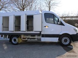 MERCEDES-BENZ 310cdi ColdCar -33°C, 3+3 Euro 5