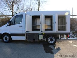 MERCEDES-BENZ 310cdi ColdCar -33°C, 3+3 Euro 5