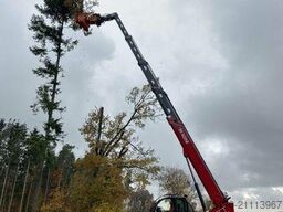 Magni RTH 6.30 SH / Fällkran / Westtech CS750