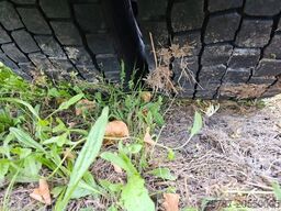 IVECO 460 Hi Way, Standklima, Retarder, Euro 6